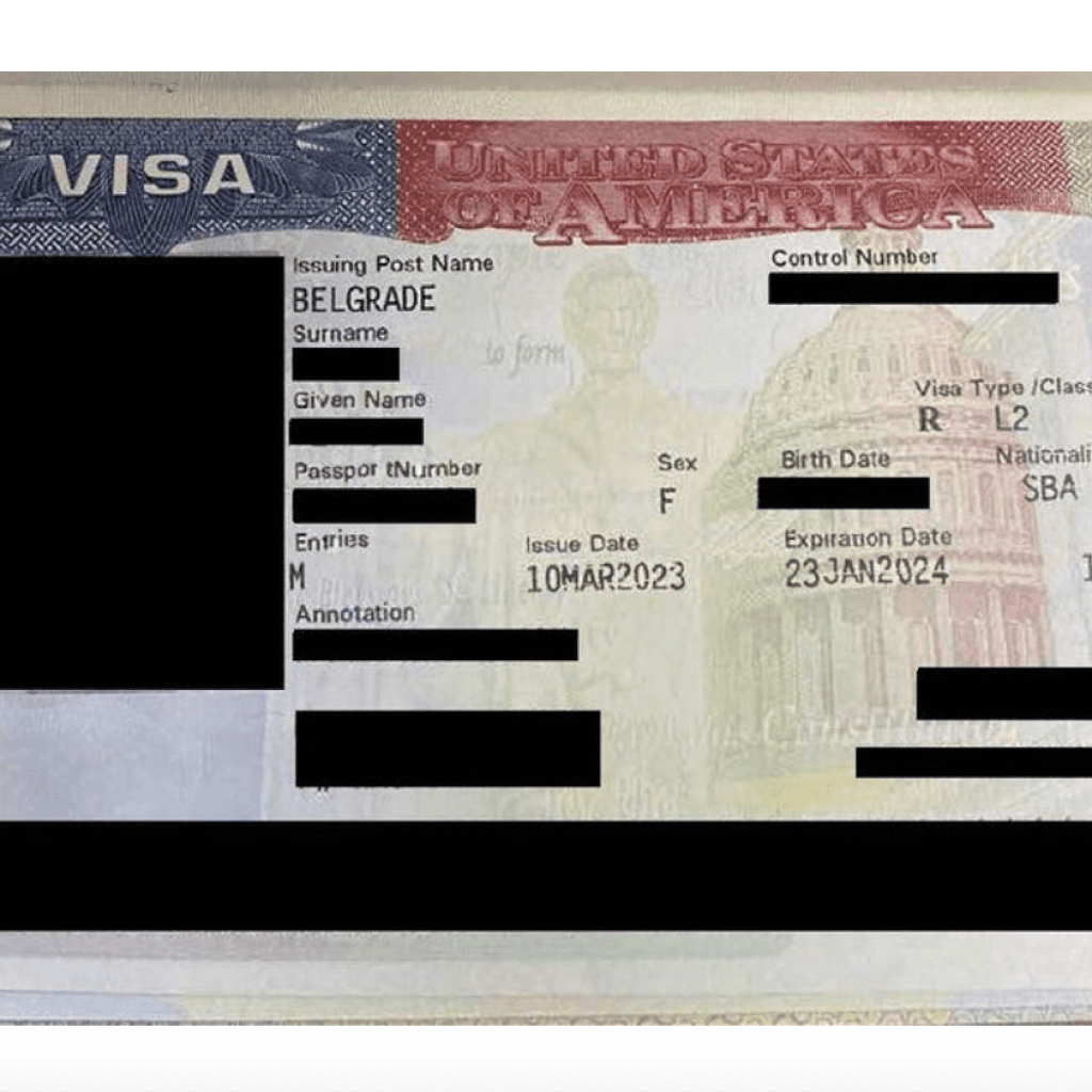 | e-2 visa success: serbian digital marketing entrepreneur